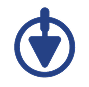 Project Logo
