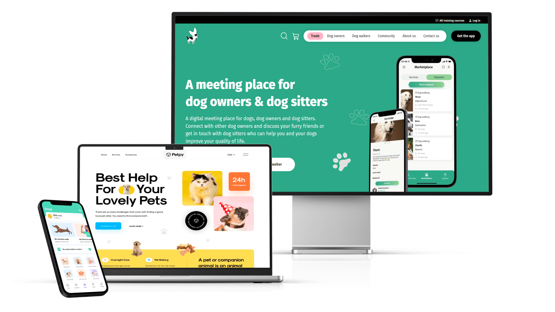 Development of a pet sitter services