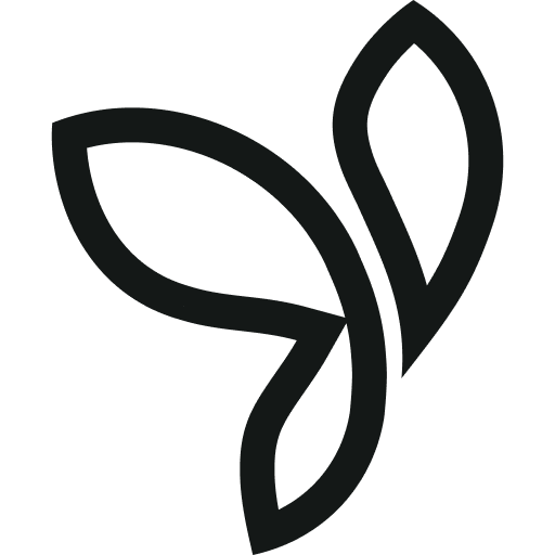 Yii2